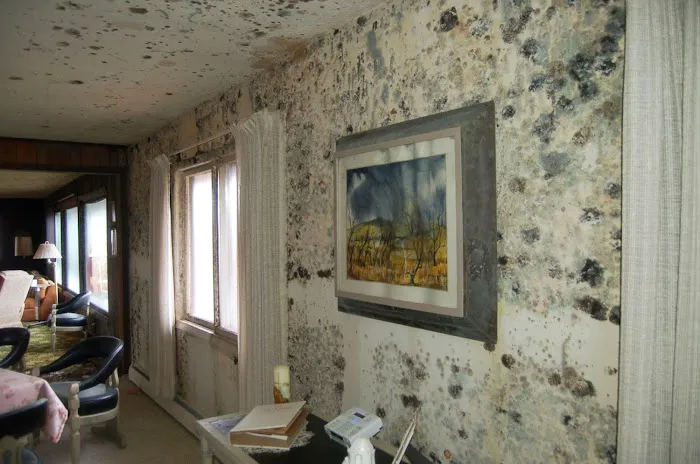 Rocky Mountain Restoration Picture 3