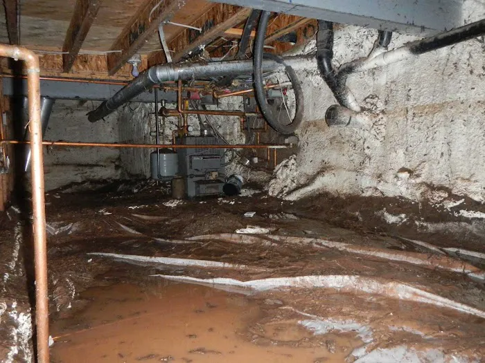 Rocky Mountain Restoration Picture 7