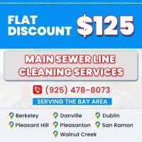 Magnificent Plumbing & Rooter ico