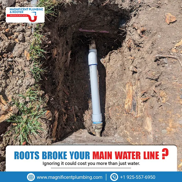 Magnificent Plumbing & Rooter Picture 5