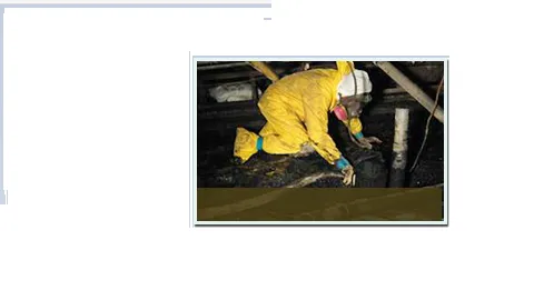 SOS Restoration Picture 7