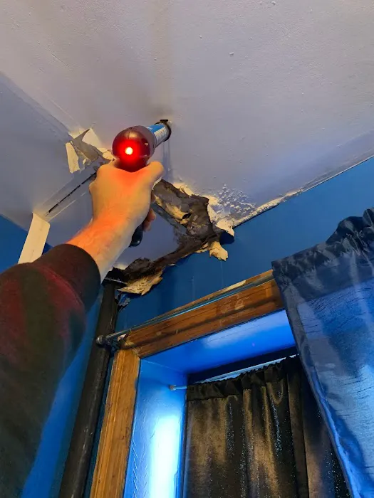 Brooklyn Mold Specialist Picture 5