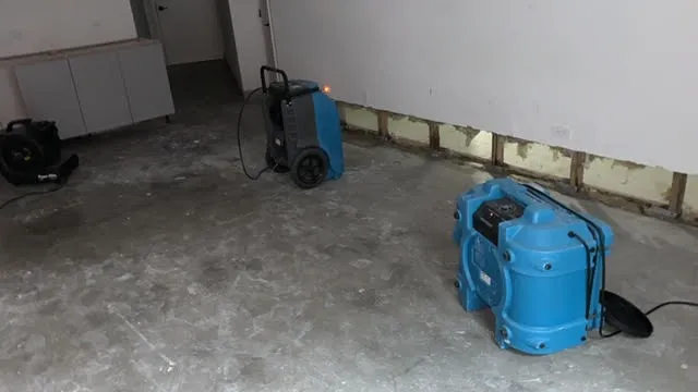 Brooklyn Mold Specialist Picture 4