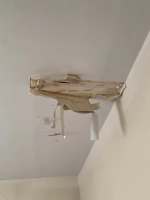 Brooklyn Mold Specialist Picture 9