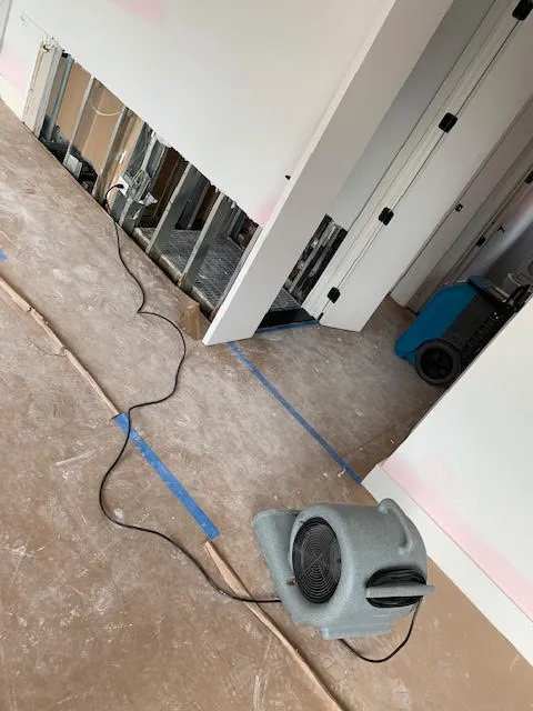 Brooklyn Mold Specialist Picture 7