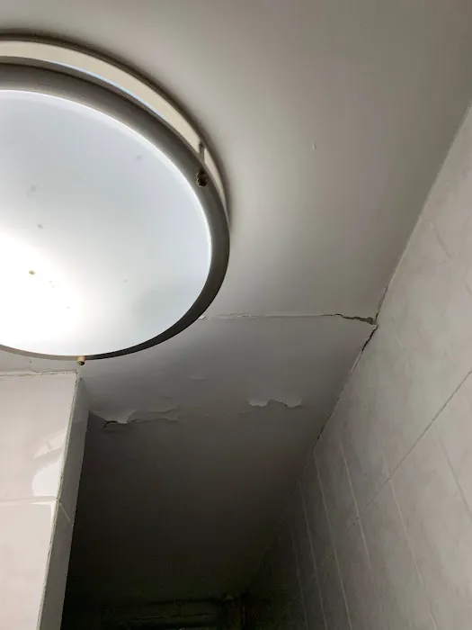 Brooklyn Mold Specialist Picture 3