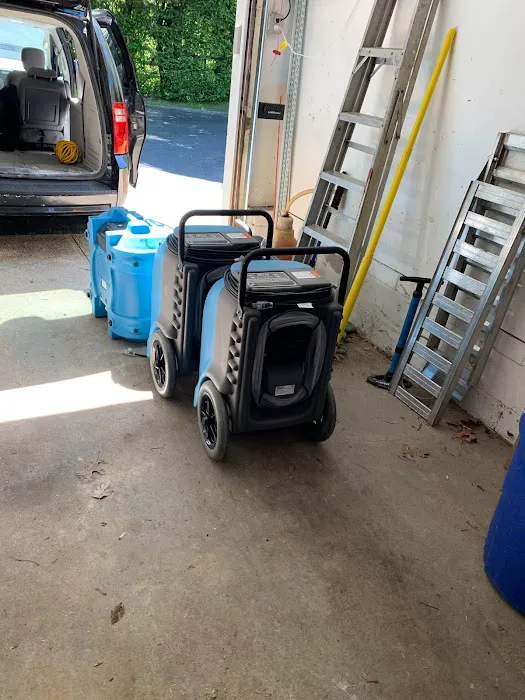 Brooklyn Mold Specialist Picture 2