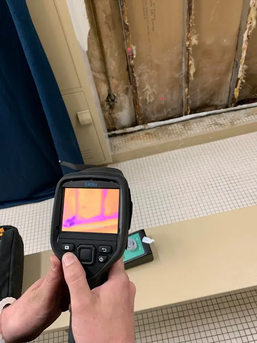 Brooklyn Mold Specialist Picture 10