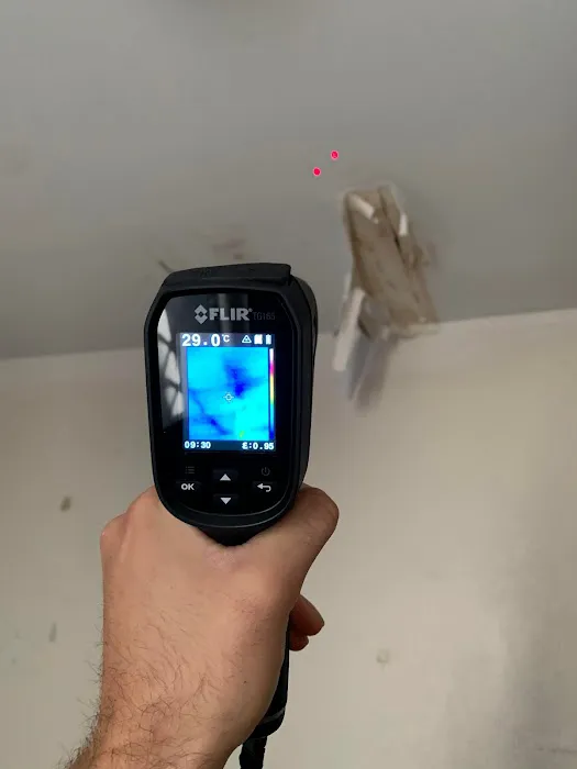 Brooklyn Mold Specialist Picture 8