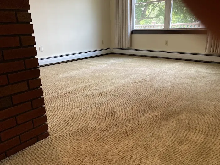 Stanley Steemer Picture 9