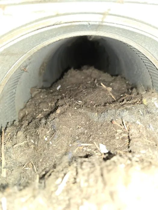 Stanley Steemer Picture 3