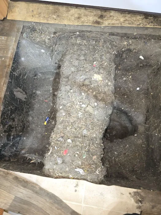 Stanley Steemer Picture 2