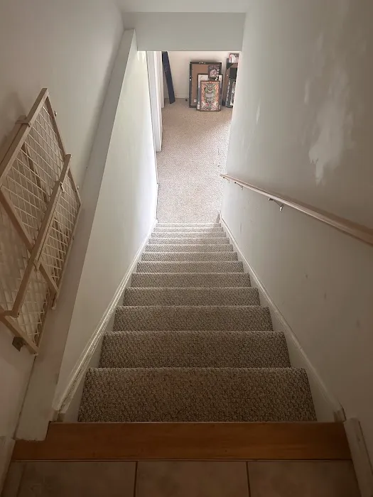 Stanley Steemer Picture 7