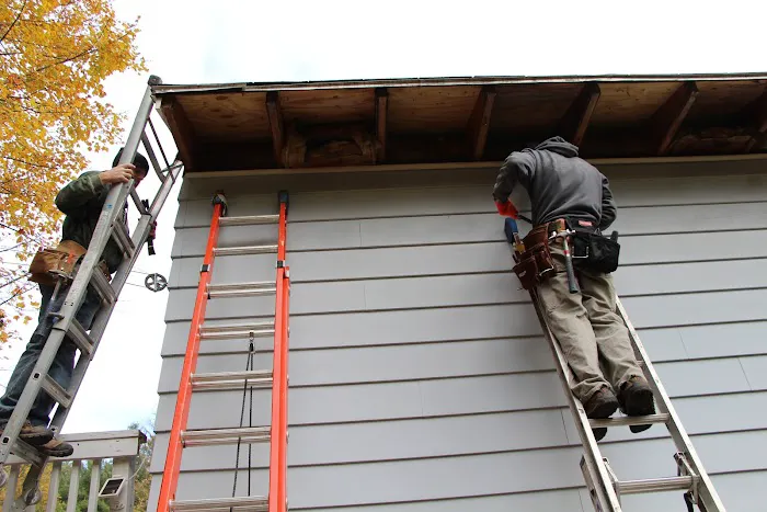 Rot Doctors Picture 4