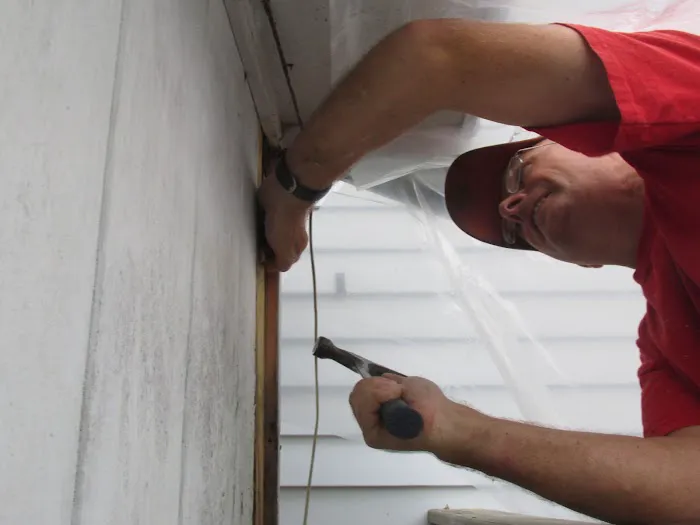 Rot Doctors Picture 3