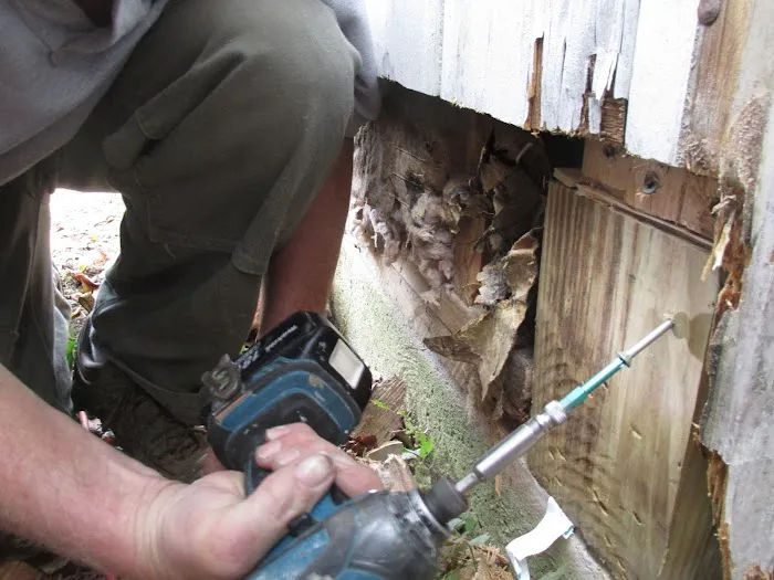 Rot Doctors Picture 2