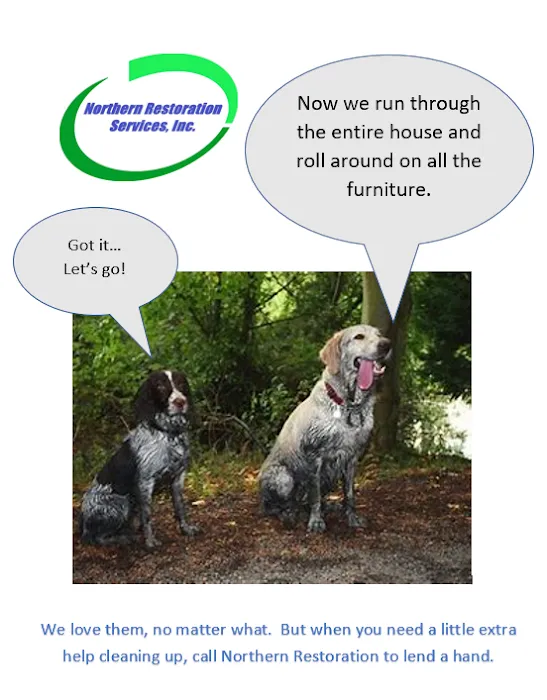 Northern Restoration Services, Inc. Picture 9