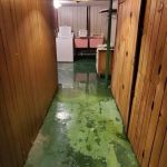 Northern Restoration Services, Inc.