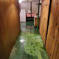 Northern Restoration Services, Inc. ico