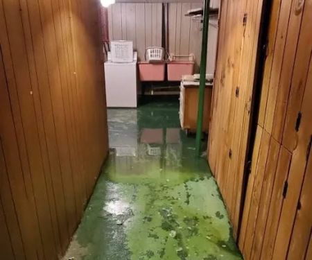 Northern Restoration Services, Inc.