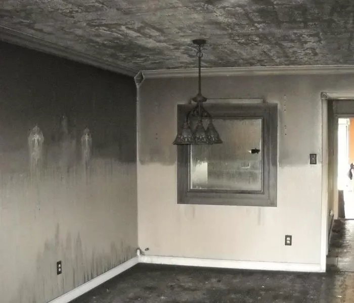 Northern Restoration Services, Inc. Picture 10