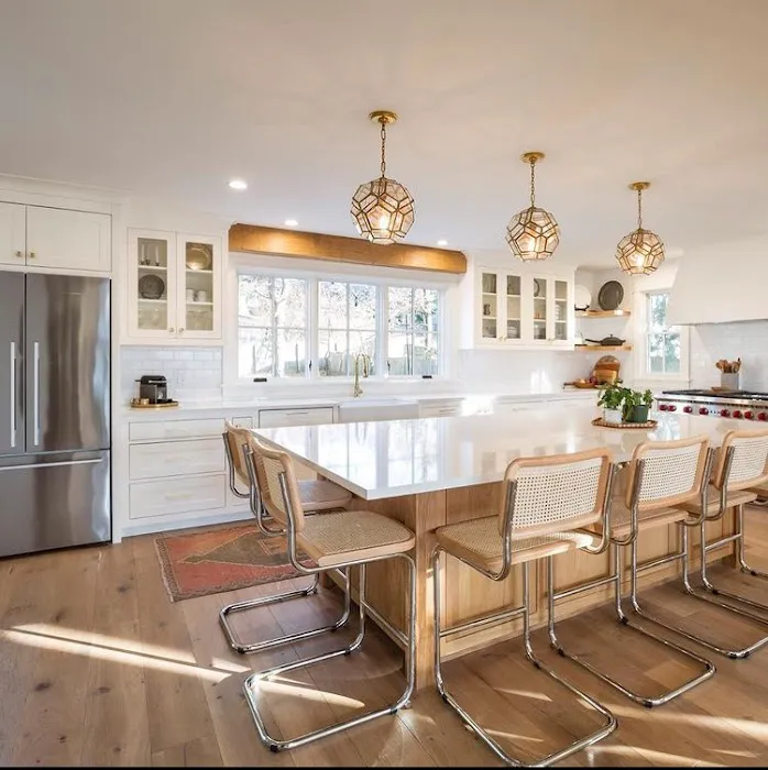 The Painter Picture 1