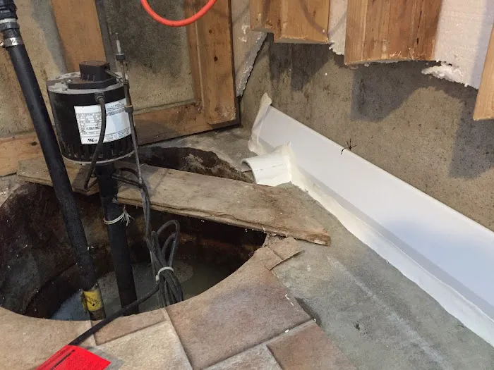 The Basement Guy Picture 1