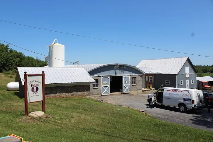 The Basement Guy Picture 5