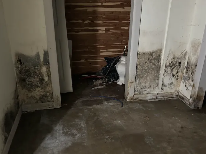 Gold star services llc Picture 1