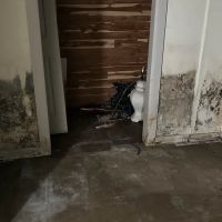 Gold star services llc ico