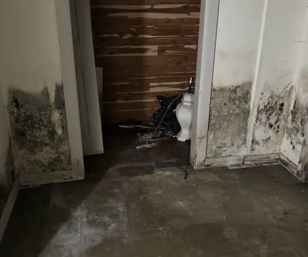 Gold star services llc