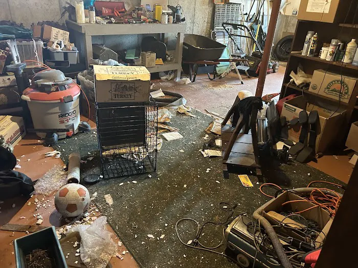 Gold star services llc Picture 9