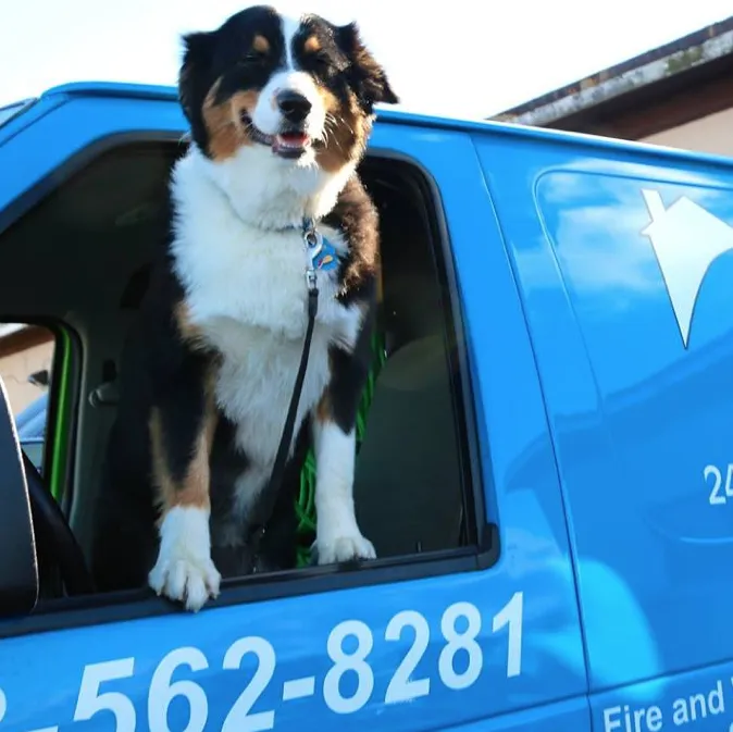 Pro-Tech Restoration Picture 5