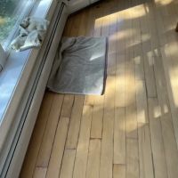 4th Generation Wood Floor Services ico