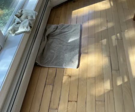 4th Generation Wood Floor Services