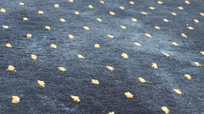 All Season’s Carpet & Upholstery Cleaning of Vermont Picture 1