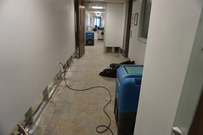 Ashley's Restoration Picture 7