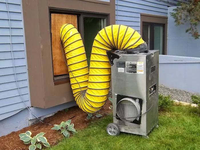 Ashley's Restoration Picture 2