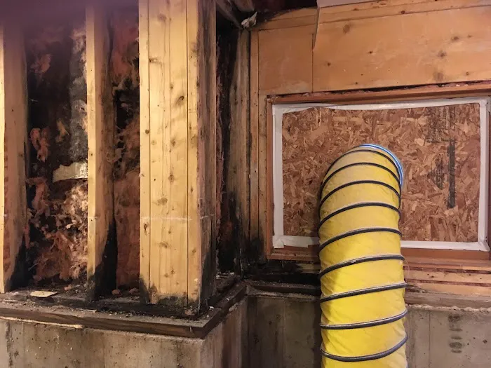 Ashley's Restoration Picture 9