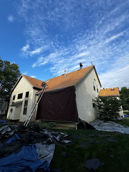 The Roof Detective Picture 1