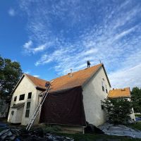 The Roof Detective ico