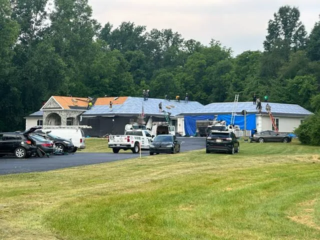 The Roof Detective Picture 7