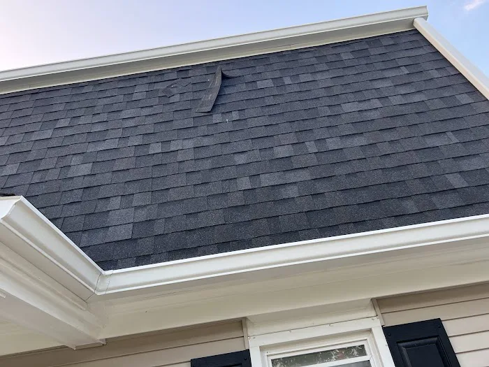 The Roof Detective Picture 8