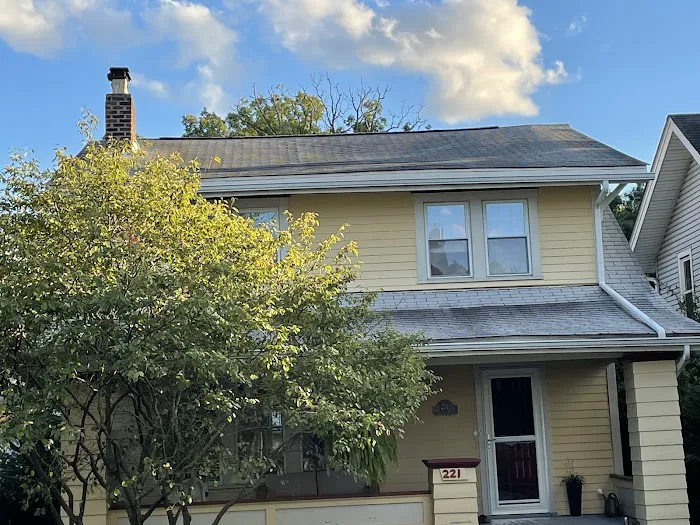 The Roof Detective Picture 3