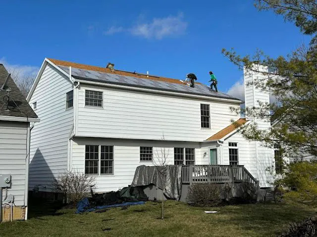 The Roof Detective Picture 6