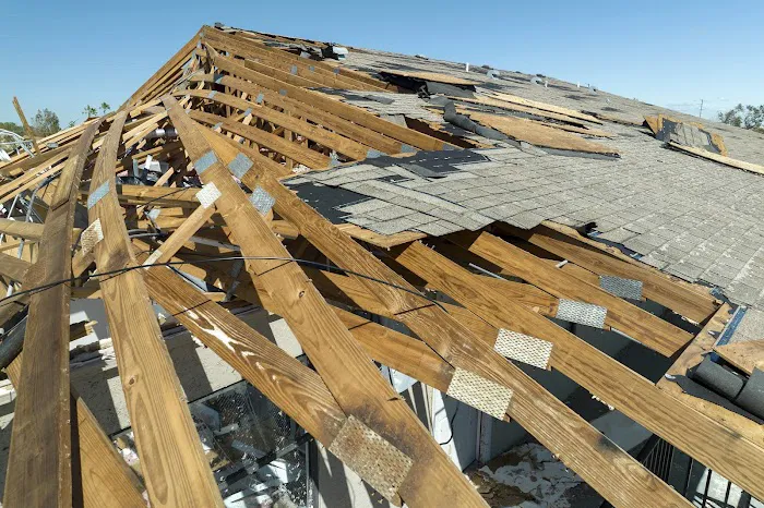 Mammoth Restoration Picture 6