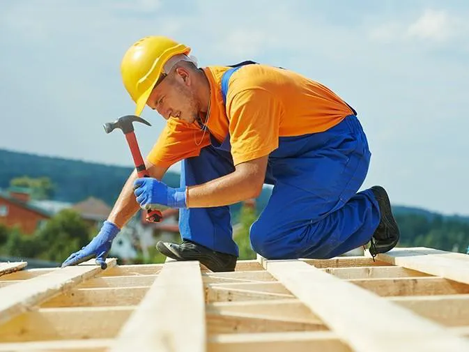 Mammoth Restoration Picture 5