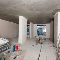 Mammoth Restoration ico