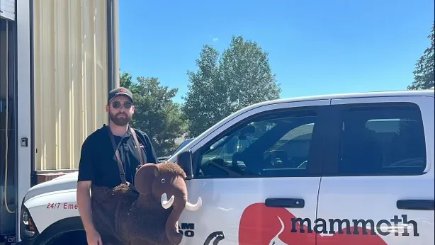 Mammoth Restoration Picture 8