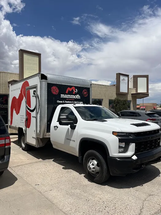 Mammoth Restoration Picture 9